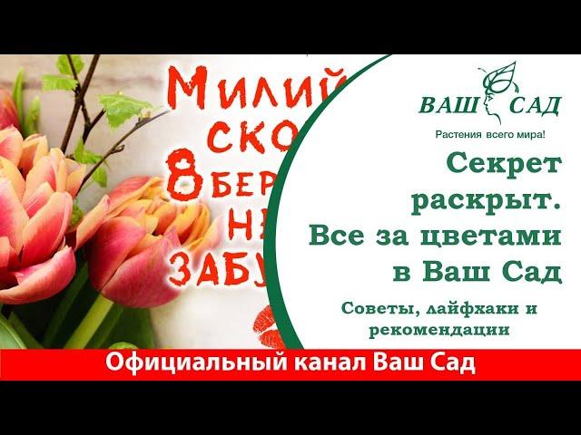 Рекомендации мужчинам по выбору цветов в канун 8-го марта от специалиста Ваш сад