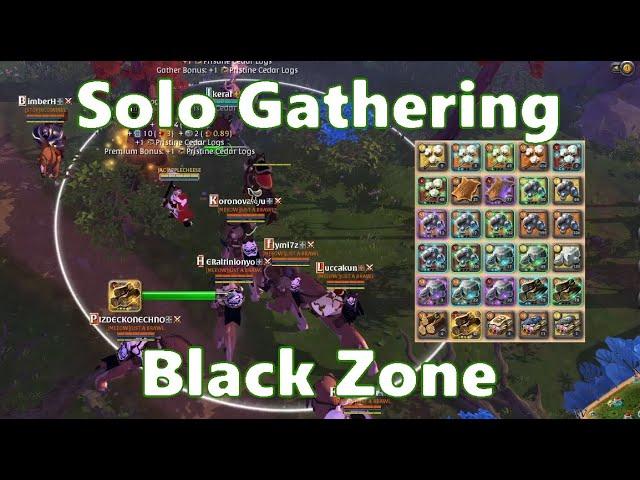 Solo Gathering Black Zone Vol.124 - Albion Online