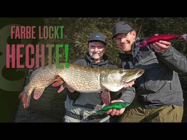 Attract and catch pike with colored bait fish! 