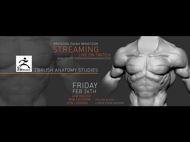 ZBrush Anatomy Studies - Teaching Stream