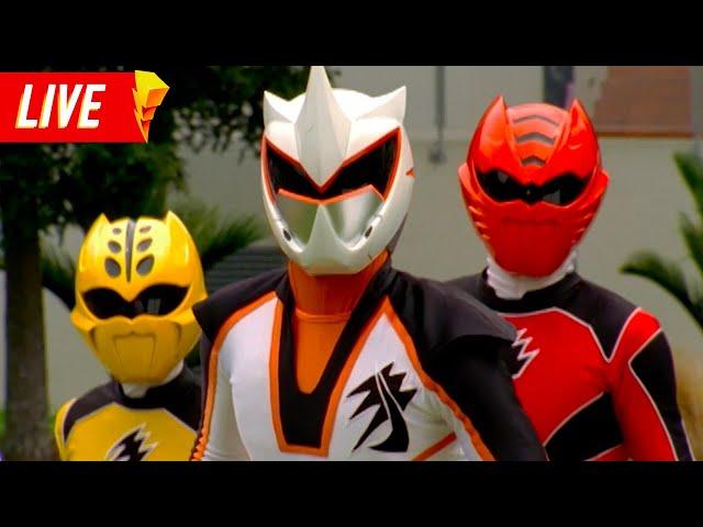 Power Rangers Jungle Fury  LIVE 24/7 | Power Rangers Official