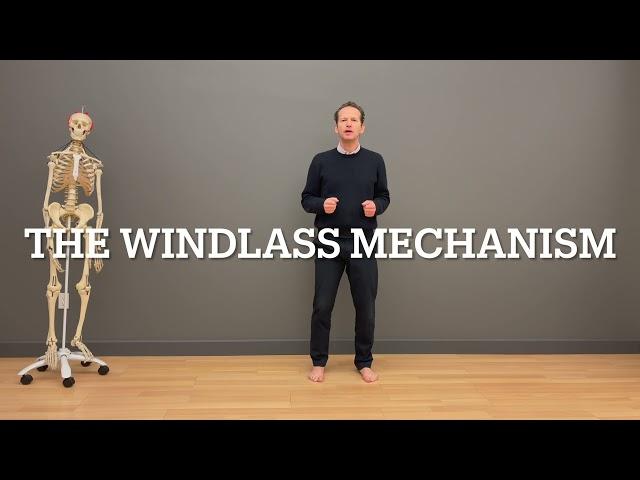 A Great Foot is Supple & Stiff - Can You Handle the Opposites? The Windlass Mechanism