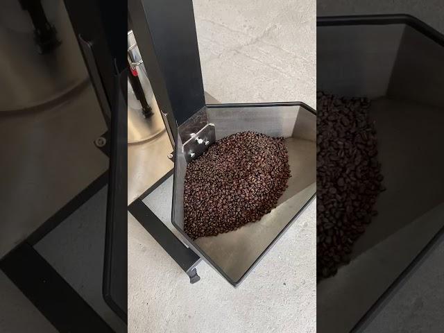 Wintop 30kg Coffee Destoner Operation Video