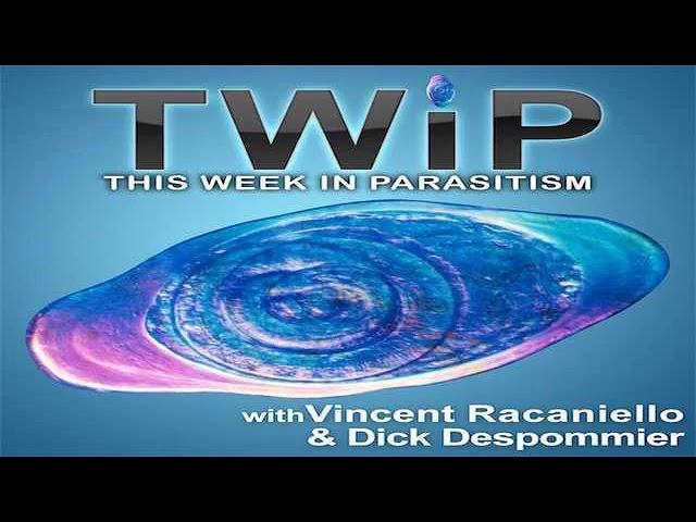 TWiP 26: The schistosomes