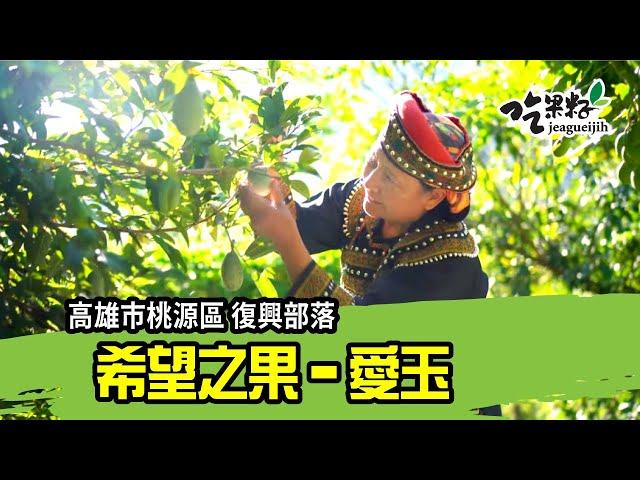 Fenghsi Aiyu jelly drink microfilm 5 min  (Chinese and English subtitles)
