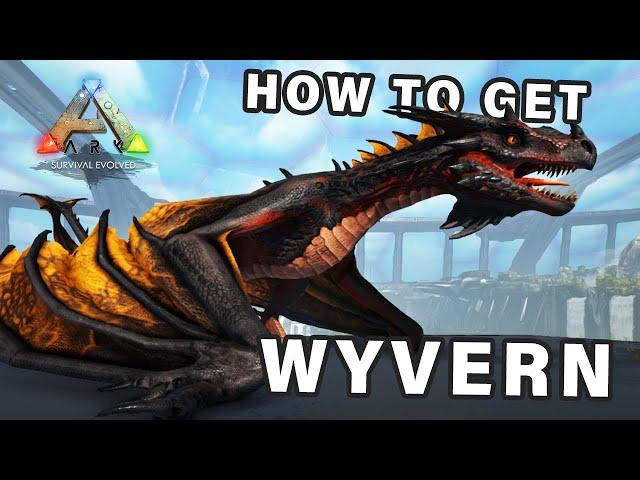 How to get a Wyvern Tame | Eggs and Milk ► Ark Survival Evolved