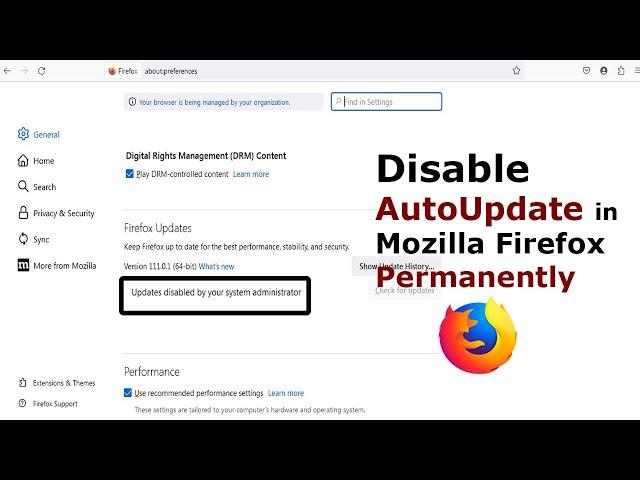 Disable Updates/Autoupdate in Mozilla Firefox Permanently