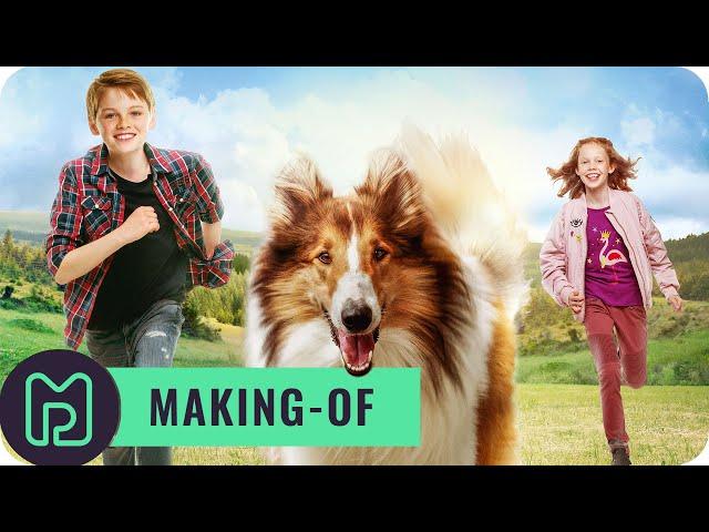 LASSIE: EIN HUND ALS HAUPTDARSTELLER  Making-Of & Trailer Deutsch (2020) Exklusiv