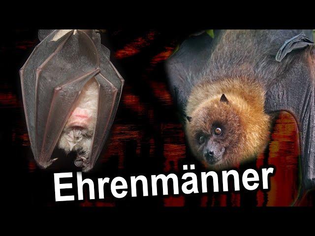 Fledermäuse die Ehrenmänner