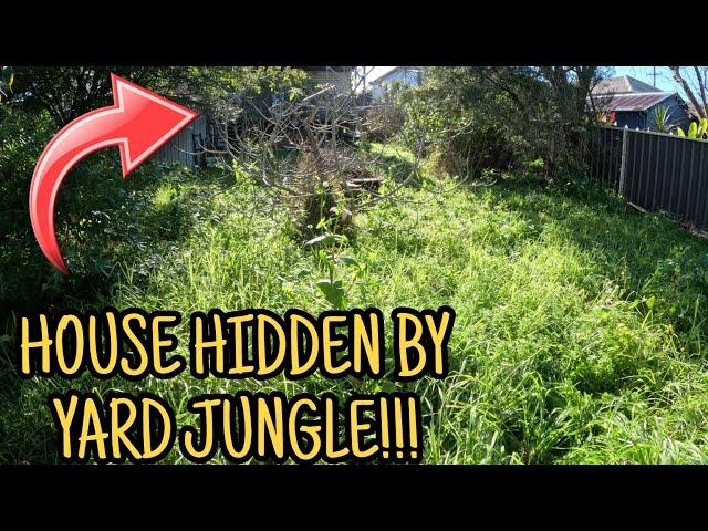 From Wild to Wow! TIMELAPSE Epic Overgrown Yard Makeover!