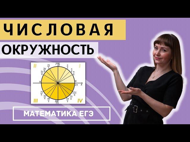 Числовая окружность тригонометрический круг как пользоваться