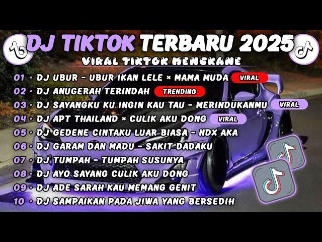 DJ TIKTOK TERBARU 2025 || DJ UBUR - UBUR IKAN LELE  DJ ANUGERAH TERINDAH  FULL ALBUM TERVIRAL