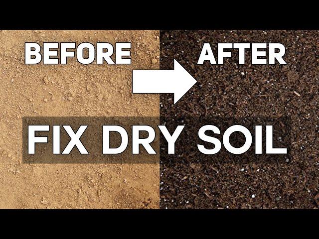 The Ultimate Guide to Bringing Life Back to Dry Soil!