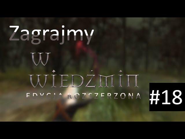 Zagrajmy w Wiedźmin #18 Nieudana walka z Kokakcydium i nie tylko