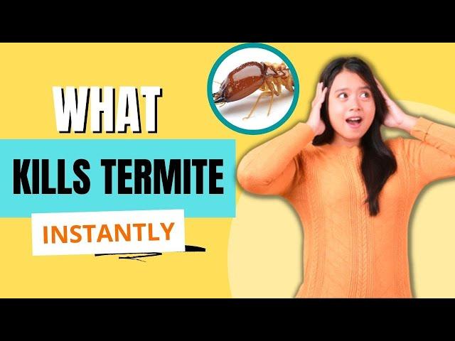 What Kills Termite Instantly?? Quick & Proven Methods