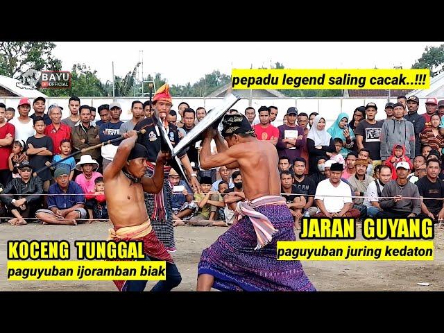 KOCENG TUNGGAL HABIS HABISAN MELAWAN JARAN GUYANG || PERESEAN BARABALI TERBARU 2022