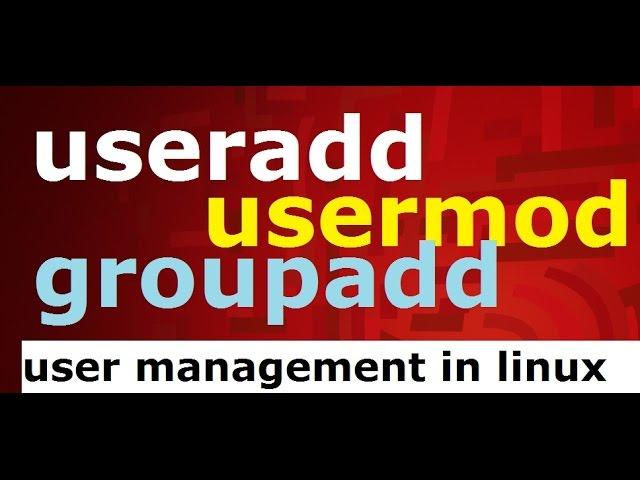 useradd/usermod/groupadd (user management) commands in linux