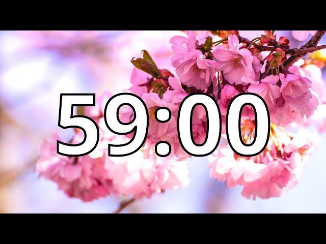 59 Minutes Timer with Music | Cherry Blossom Timer