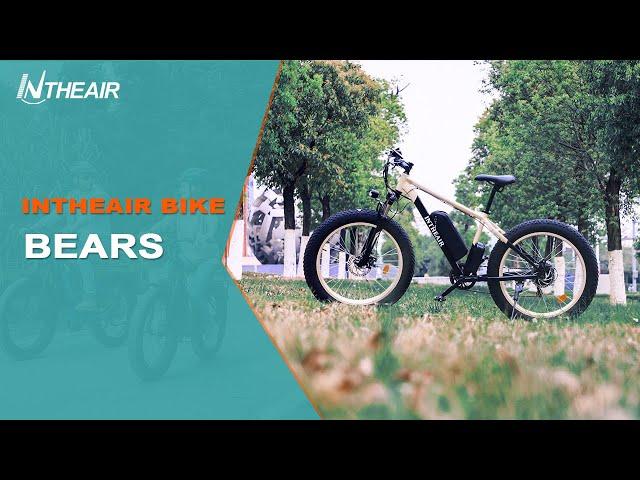 INTHEAIR Bears All-terrain Electric Fat Tire Bike Show Details