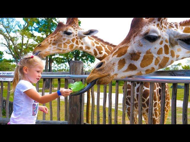 Nastya rides to the zoo Vlog in the zoo