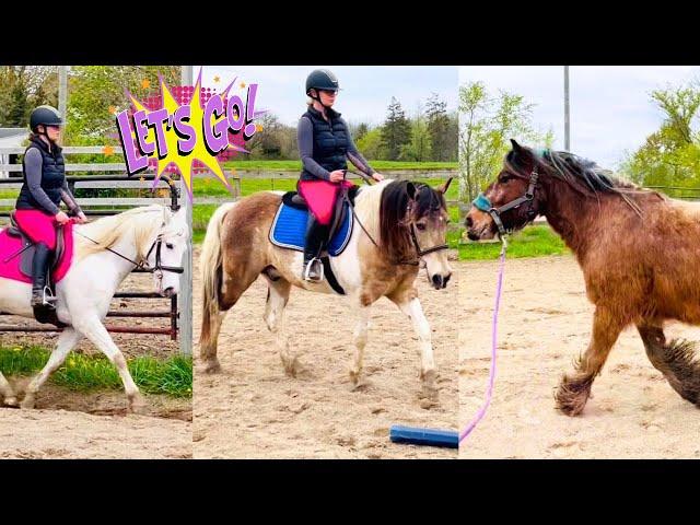 TRAINING HORSES-A DAY IN THE LIFE AT FREE SPIRIT EQUESTRIAN!