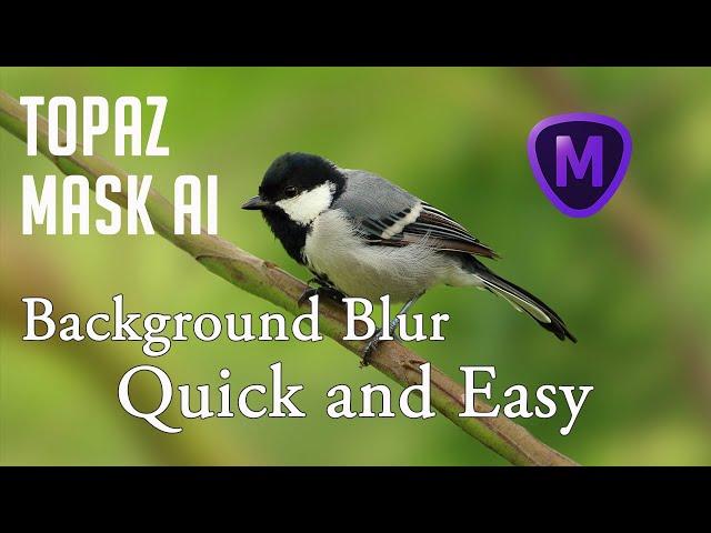 TOPAZ MASK AI: Background Blur (Quick and Easy)