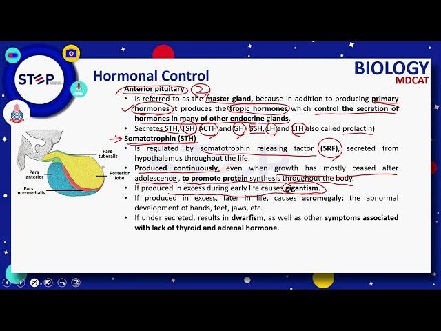 HORMONAL CONTROL  |COORDINATION AND CONTROL | LECTURE | STEP | A PROJECT BY PGC