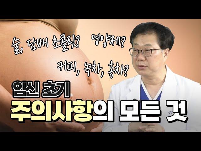 임신 초기 주의사항의 모든 것