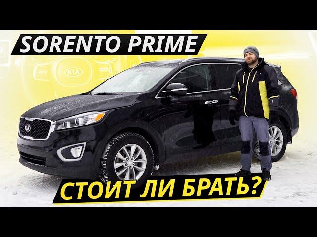 Premium at a budget price. Is it realistic to keep a Kia Sorento Prime? | Used cars