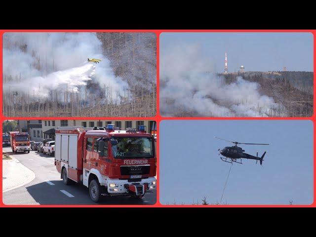 Waldbrand am Brocken am 07.09.2024