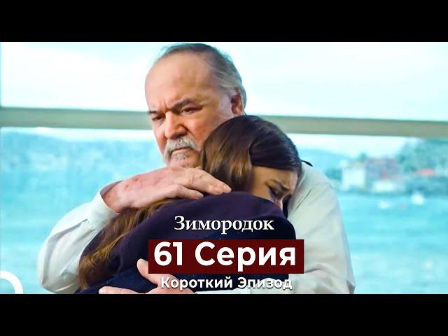 Зимородок 61 Cерия (Короткий Эпизод) (Русский дубляж)