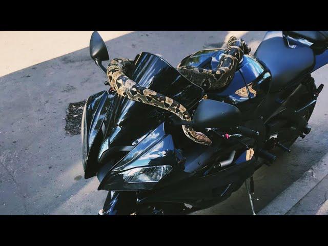 Восстановление мотоцикла. Yamaha R6 Restoration