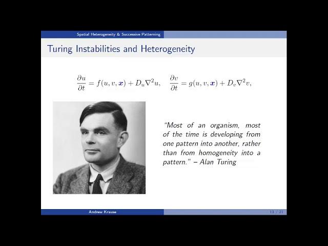 Turing's Theory of Morphogenesis: Modern Methods and Open Questions