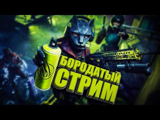 Новая Штурмовая Винтовка! Заценим на стриме! - Читаю 99% чата!