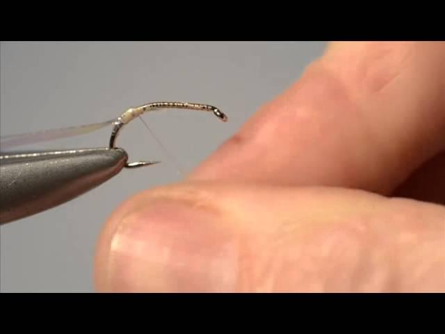 Fly-dresser Peter Gathercole ties Paul Procter's Ascending Caddis