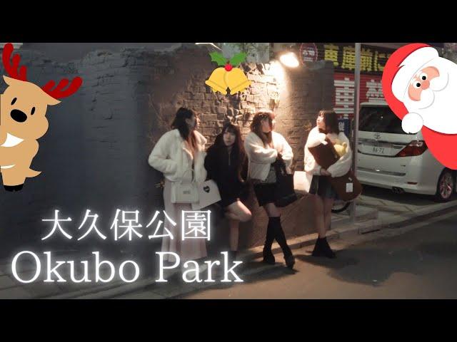 I walked around Okubo Park and the hotel district on Christmas Eve, and there were tons of couples!