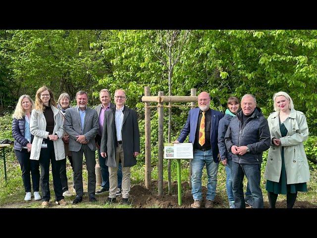 Pflanzung zum ‚Tag des Baumes‘ im LVR-Freilichtmuseum Kommern