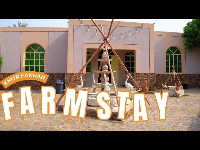 Farm stay with private pool | Khorfakkan | Sharjah | Family gathering | UAE