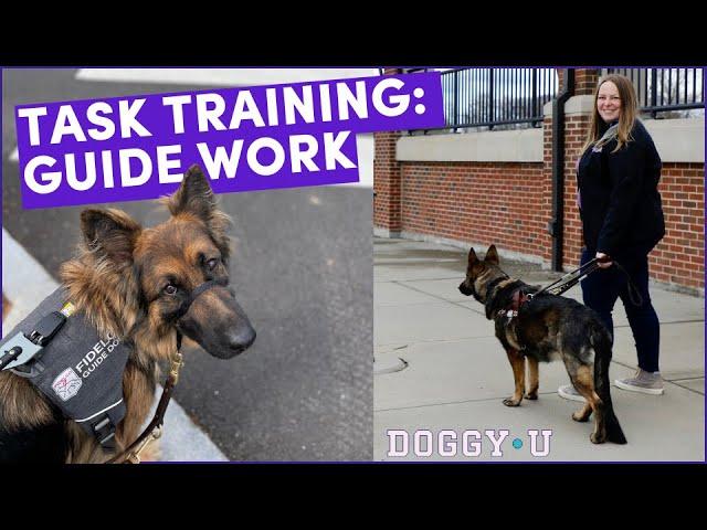 How to Train Obstacle Avoidance for Guide Dogs & Service Dog Leading and Navigation Tasks
