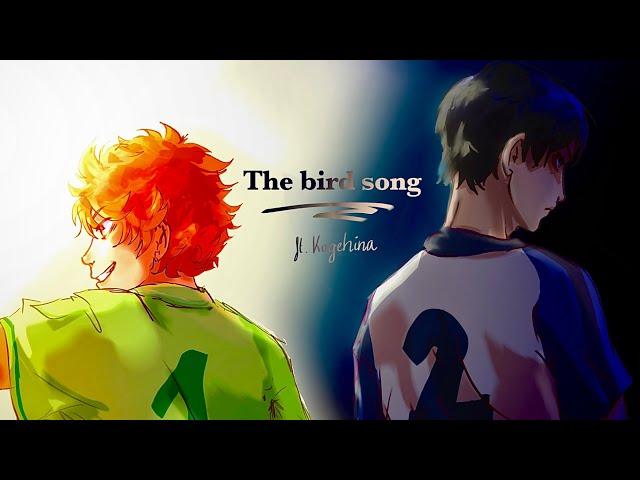 “He was a bird, I was an arrow” ||Haikyuu animatic || ft. Kageyama + hinata