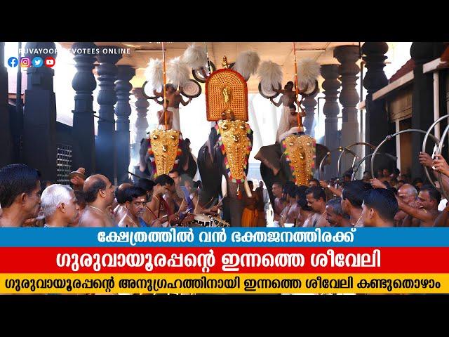 ഗുരുവായൂർ ക്ഷേത്രത്തിലെ ശീവേലിയും പ്രഭാത കാഴ്ച്ചകളും |23/06/2024 | Guruvayur Temple Morning shiveli
