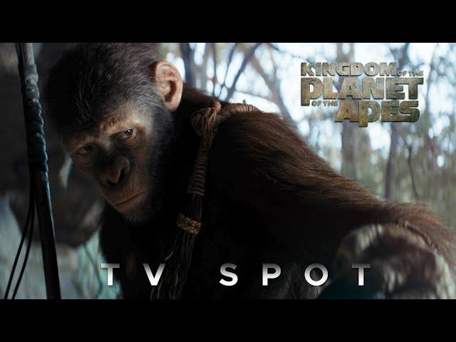 Kingdom of the Planet of the Apes - Law | TV Spot