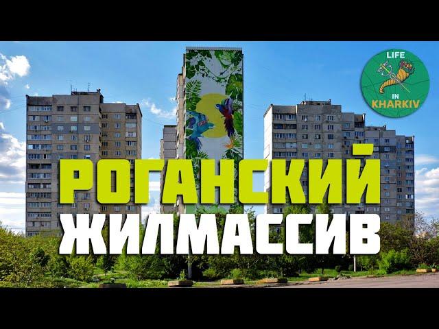 Харьков. Юго-восточные окраины города. Роганский жилмассив. Горизонт. Солнечный. Восточный.