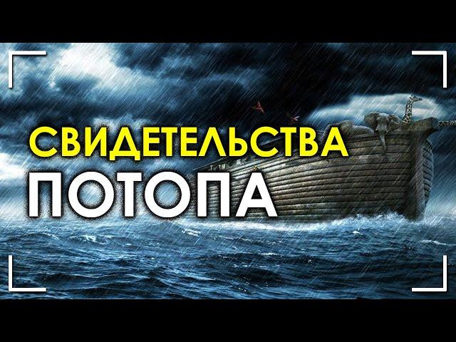 Свидетельства потопа. Александр Воронцов