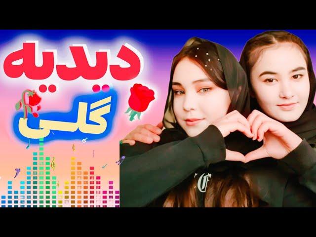 آهنگ هزارگی جدید دیده گلی آهنگ جدید عاشقانه محلی از علی محمدی0093 New Hazara song Dide Goli, new loc