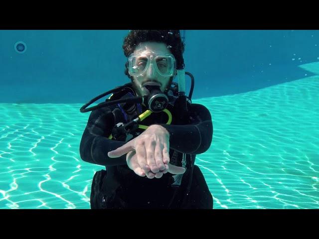 Scuba Diving Hand Signals for Identifying Marine Life