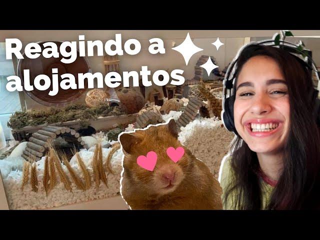 Reagindo ALOJAMENTOS DOS MEUS INSCRITOS #7 | Especial atrasado 8K!