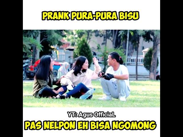 prank pura pura bisu