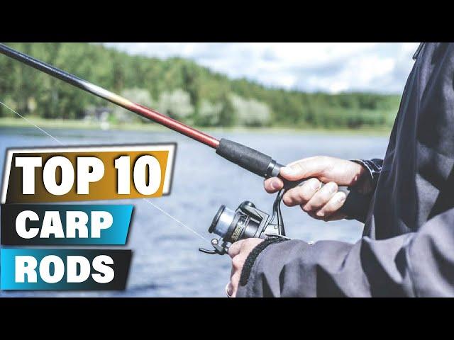 Best Carp Rods In 2024 - Top 10 Carp Rod Review