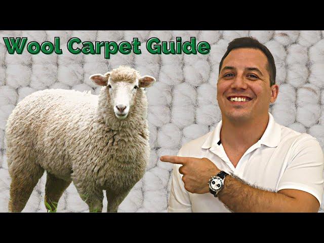 Is Wool The Best Carpet You Can Buy? Before You Buy Carpet Watch This Video!